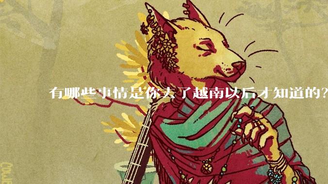 有哪些事情是你去了越南以后才知道的？