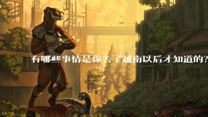 有哪些事情是你去了越南以后才知道的？